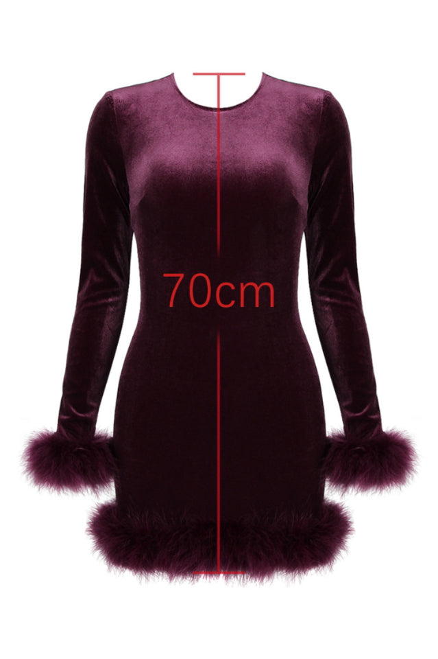 Lavinia Mulberry Velvet Mini Elbise